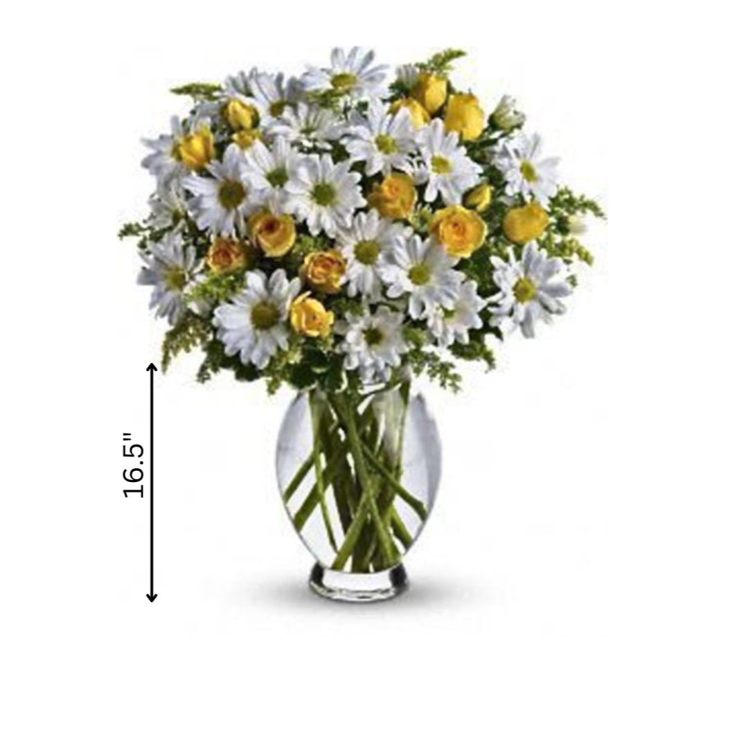 Sunny Daisies