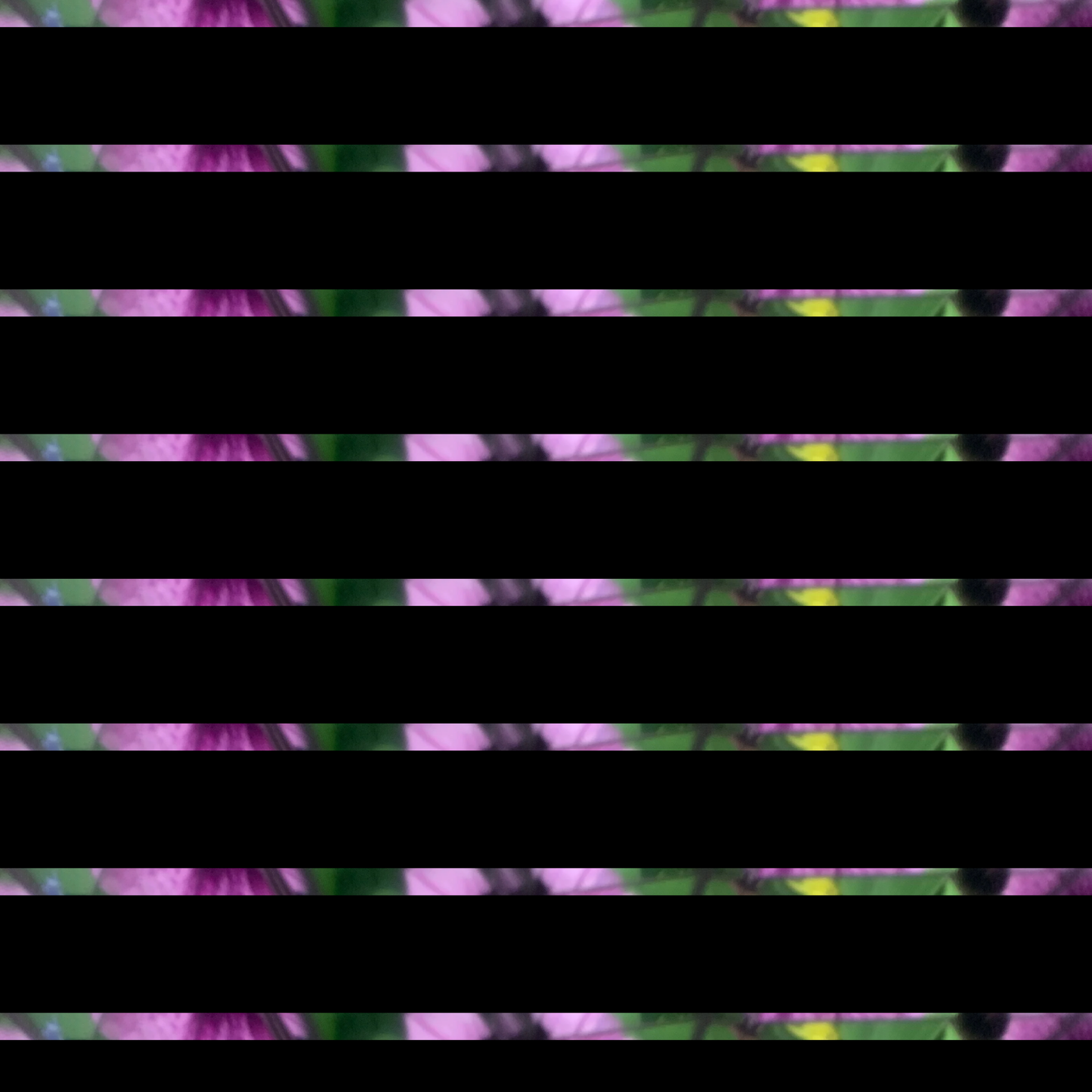 Huckleberry Kaleidoscope