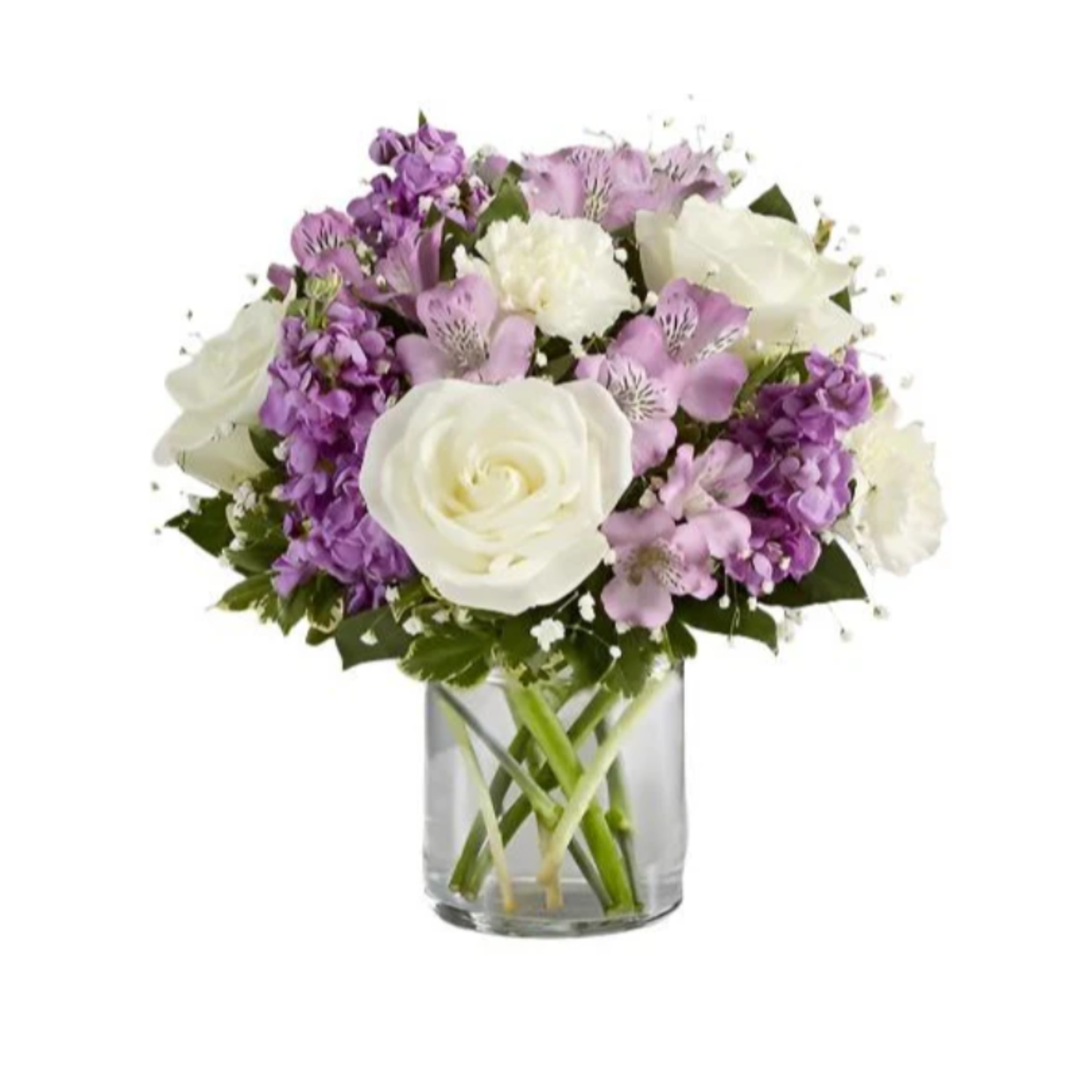 Lovely Lavender