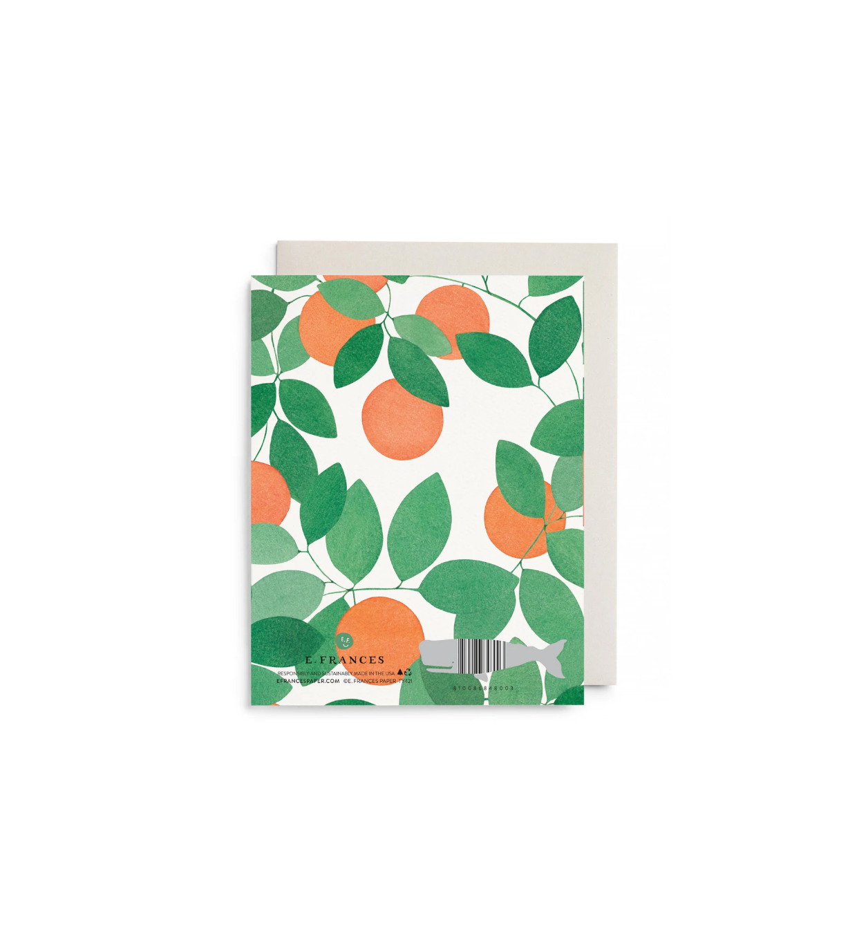 Orange Grove Thank You