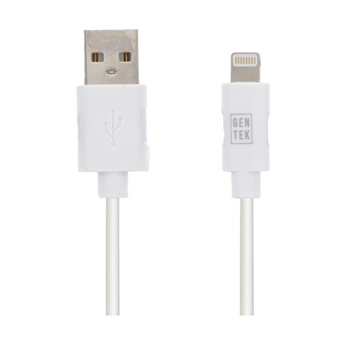 10 ft USB Lightning Cable