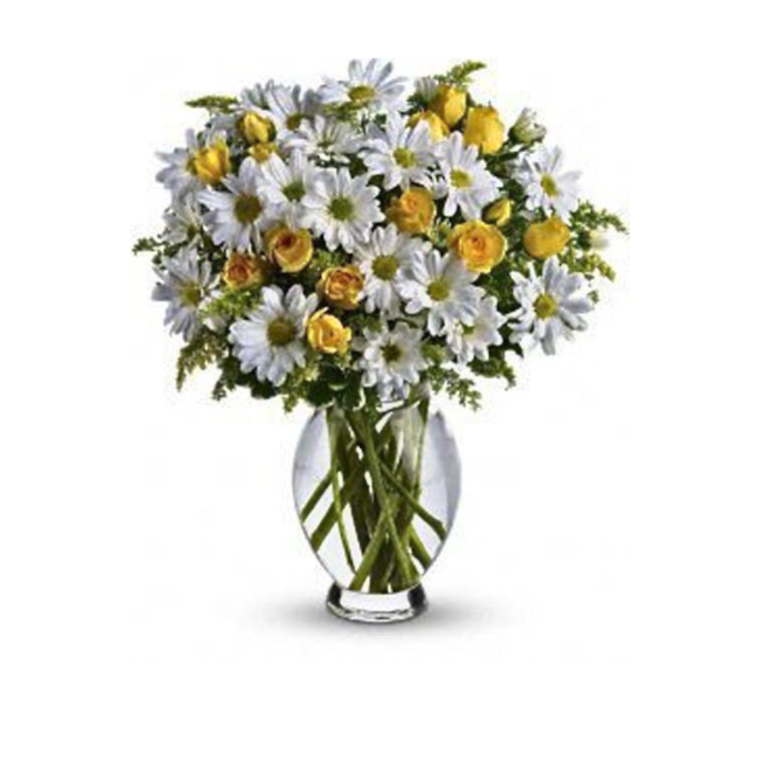 Sunny Daisies