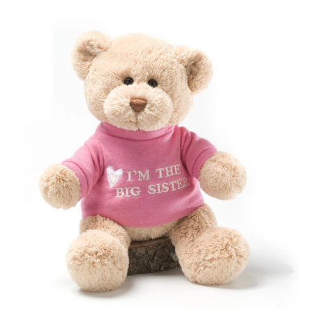 I'm the Big Sister Bear
