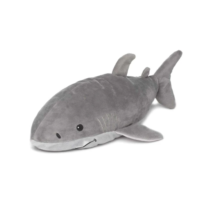 Warming Shark