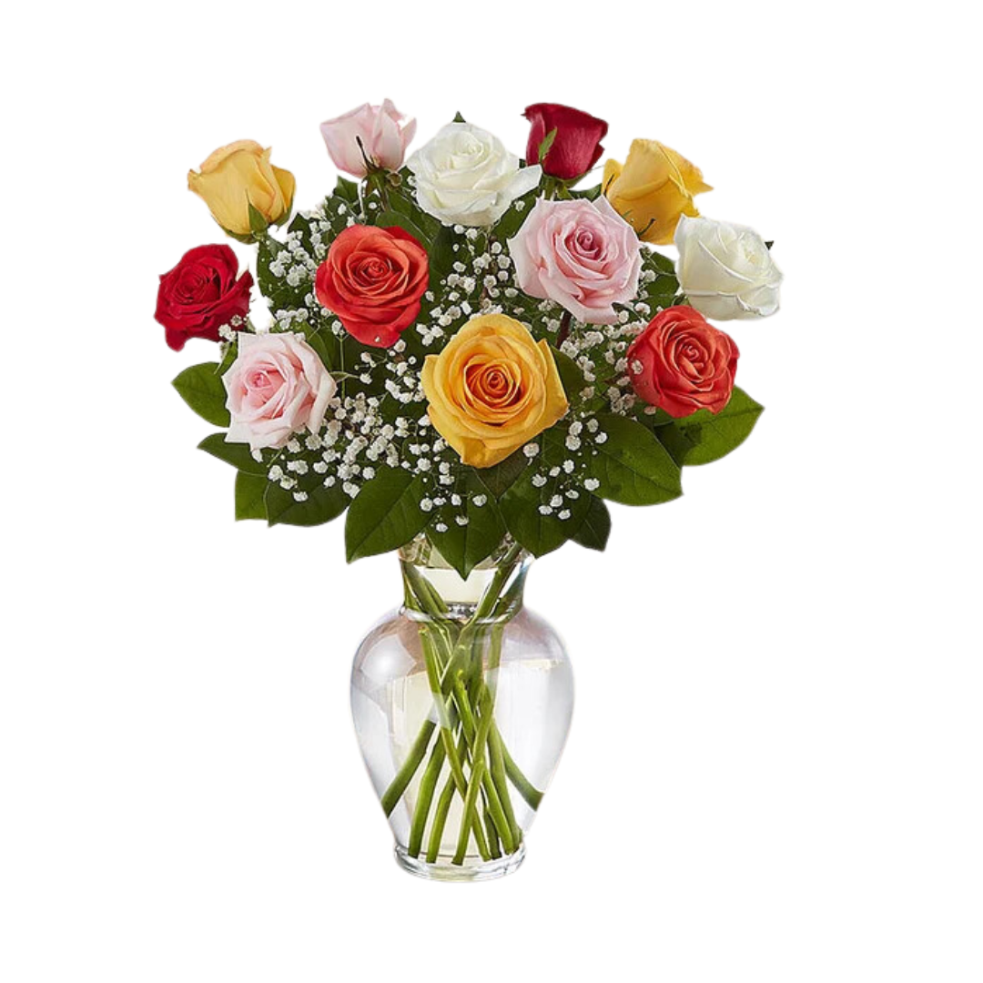 Dozen Roses Multicolor