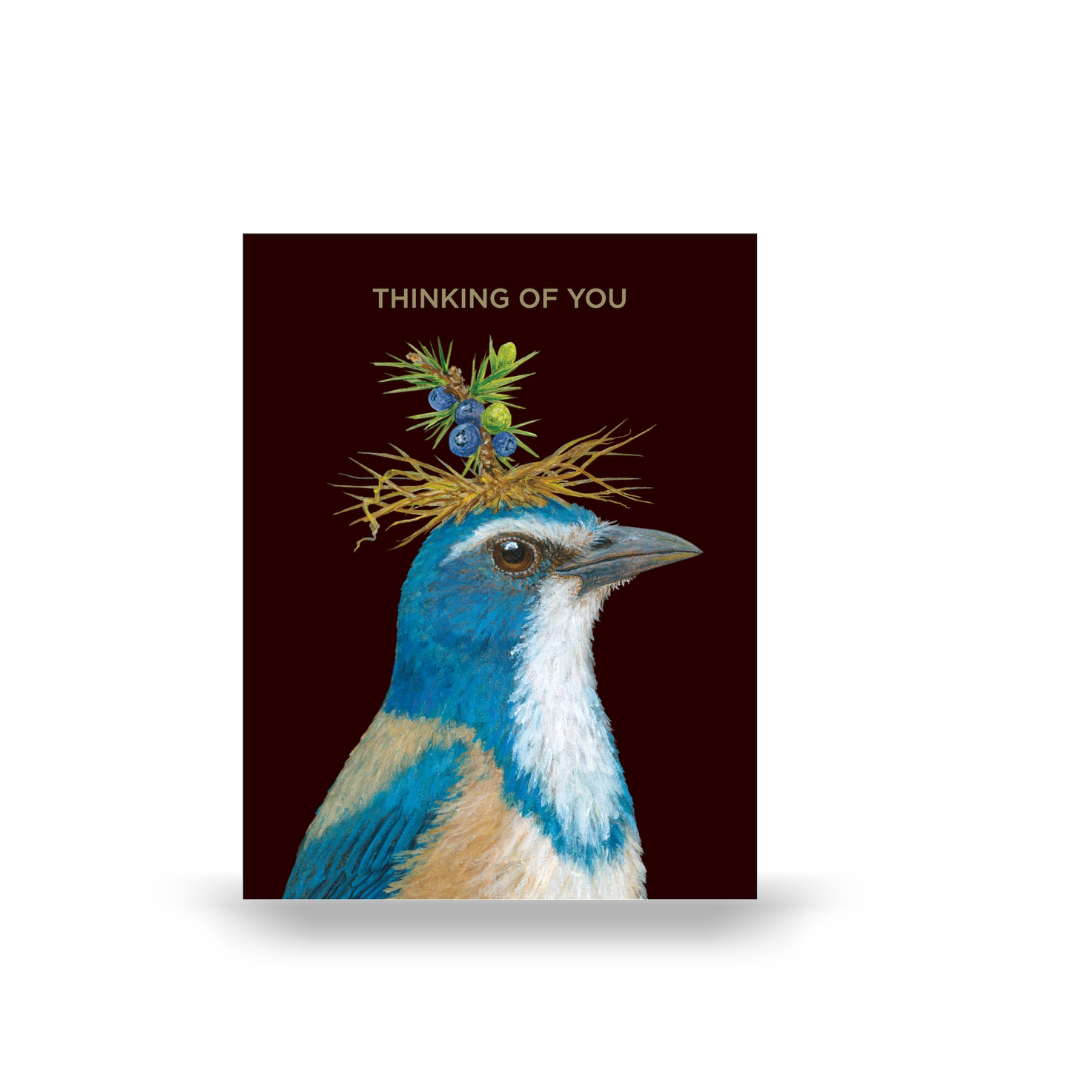 "Thinking of You Blue Jay" Greeting Card