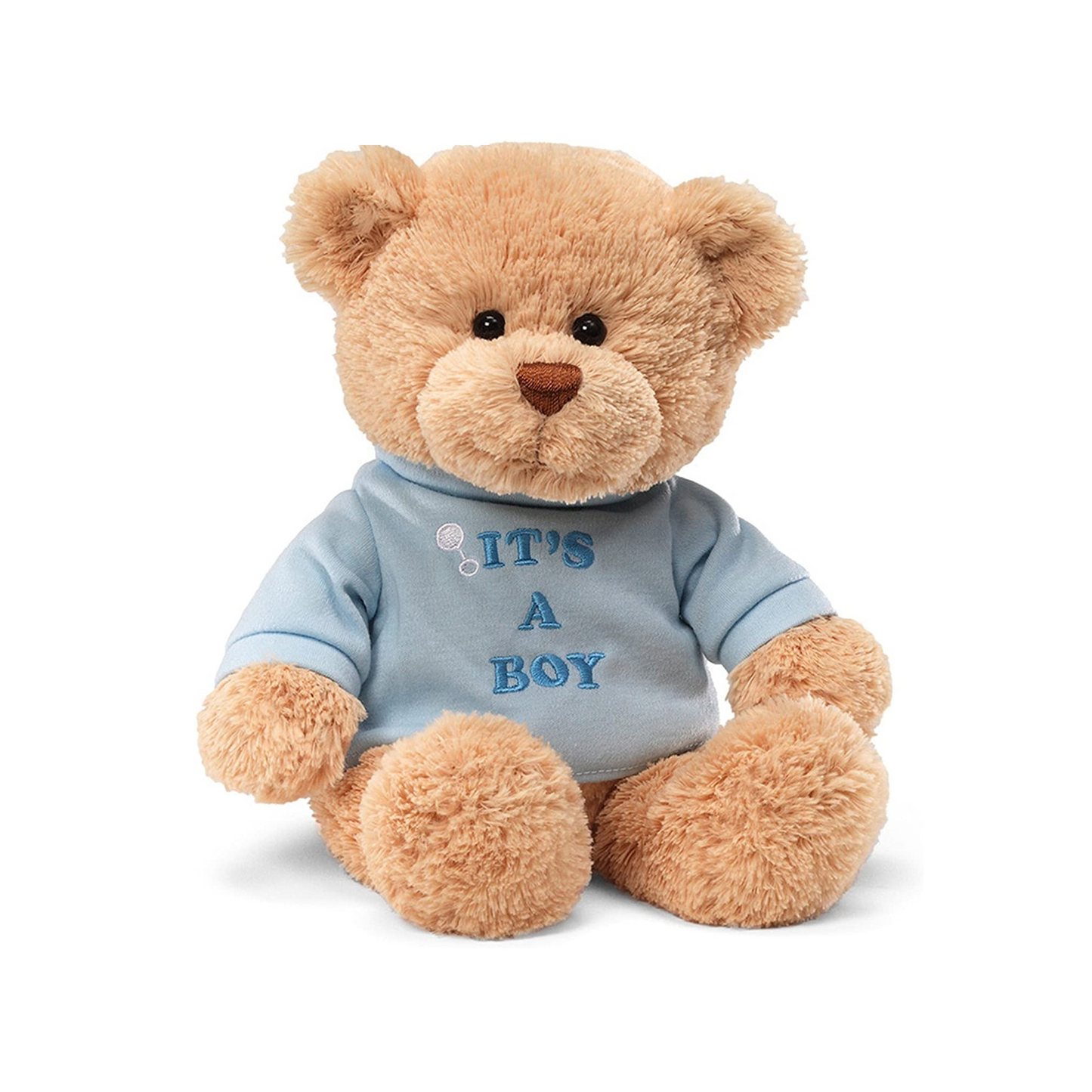 It's a Boy Teddy