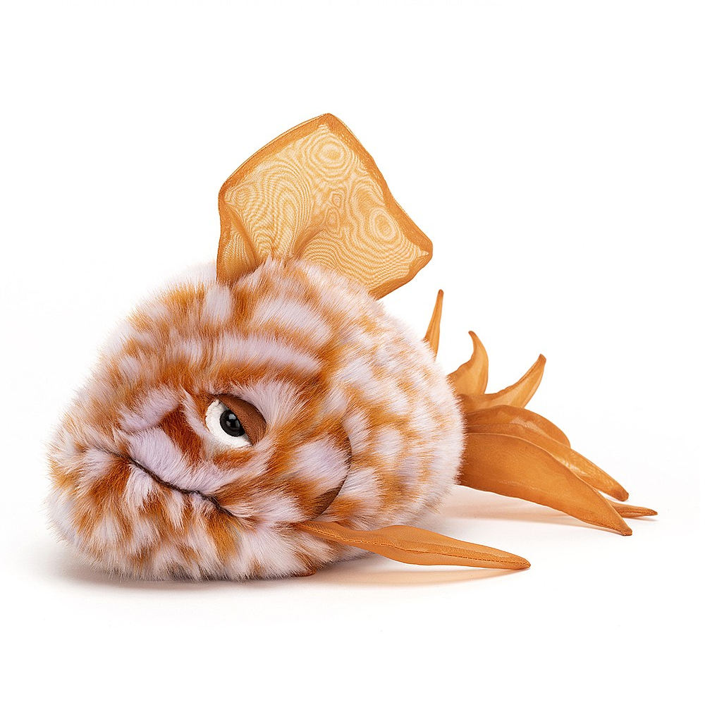 Grumpy Orange Fish