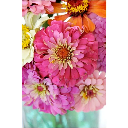 Zealous Zinnias Paint by Number Kit