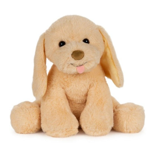 Pet Puddles Puppy